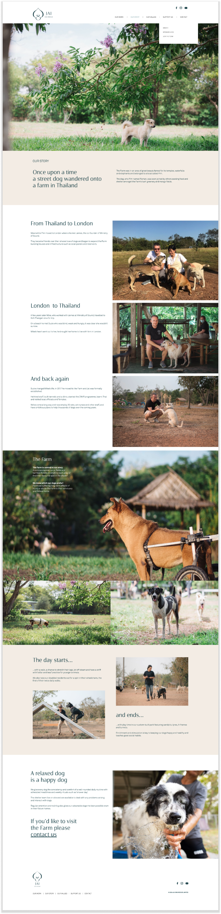 Jai Dog Rescue website design by Crush design