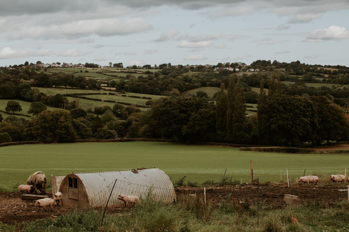 picture of Derbyshire countryside farm