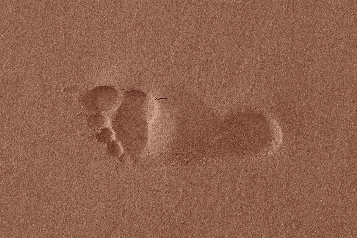 footprint in brown sand